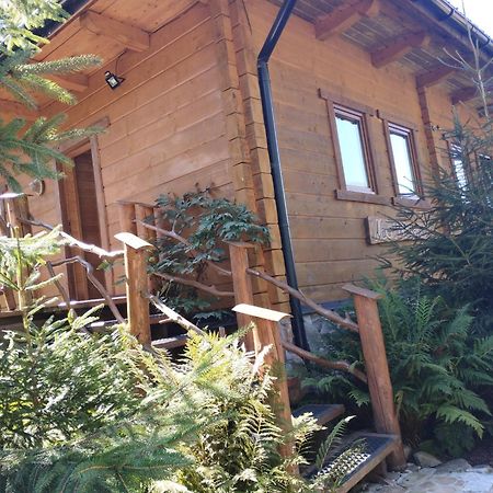 Apartament Nad Potokiem Wisła Exterior foto